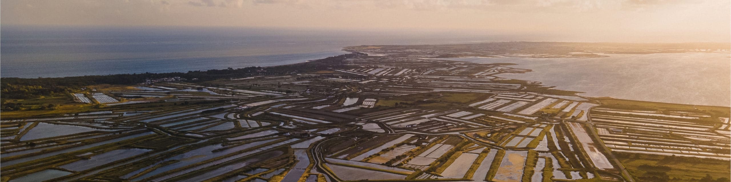 Vue aérienne des marais salants au coucher de soleil.