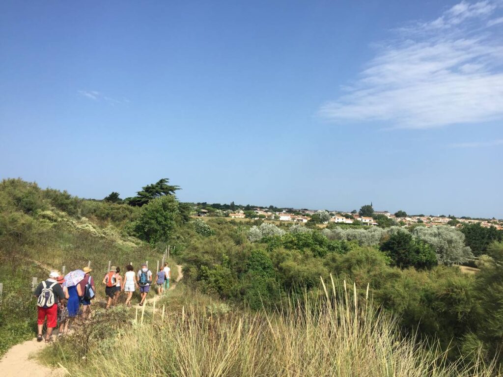 Gruppe von Wanderern auf einem Wanderweg auf dem Land.