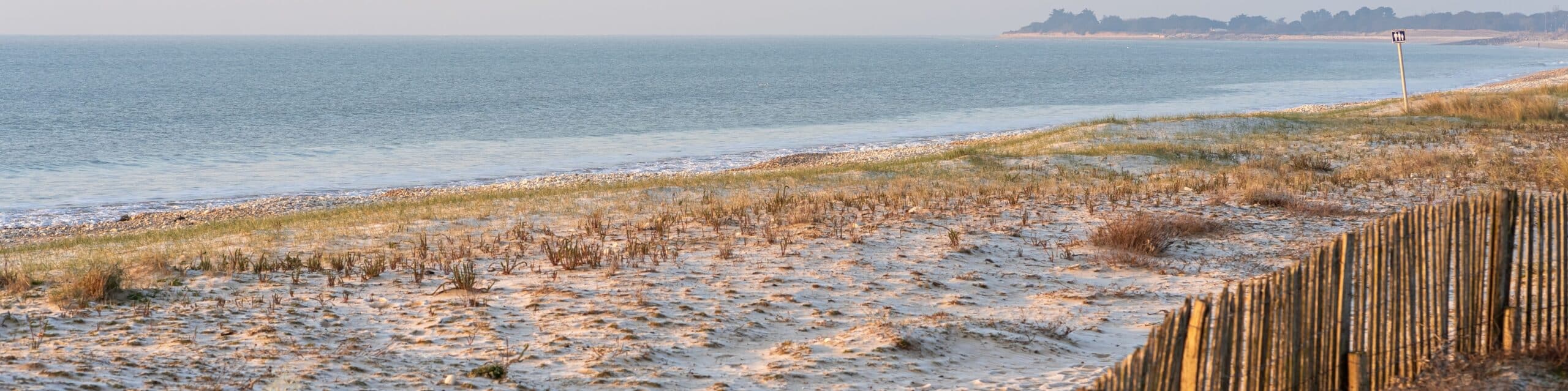 Sandstrand mit dem Meer und Dünen im Hintergrund.