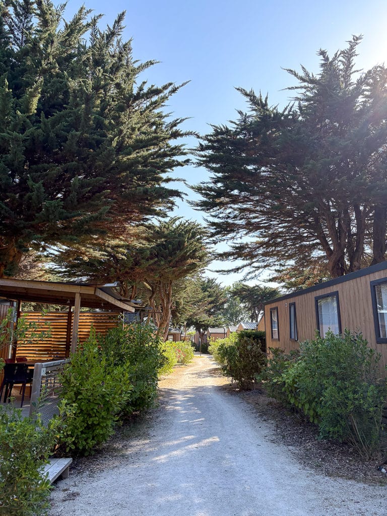 Sentier entre cabanes et arbres, journée ensoleillée
